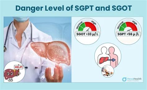 normal range danger level of sgpt and sgot|Understanding the Danger Level of SGPT and SGOT: 3 Key .